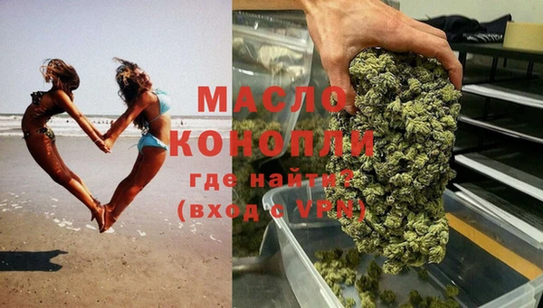 индика Заволжск