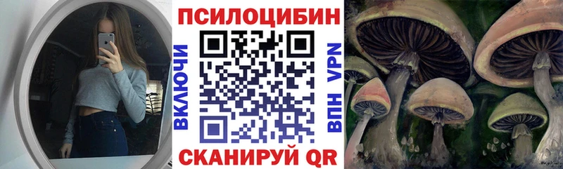 Купить где  Новопавловск  Псилоцибиновые грибы Cubensis 