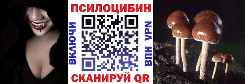 Псилоцибиновые грибы MAGIC MUSHROOMS Новопавловск